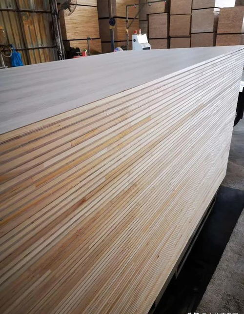 生产销售生态板 细木工板 建筑模板 饰面板