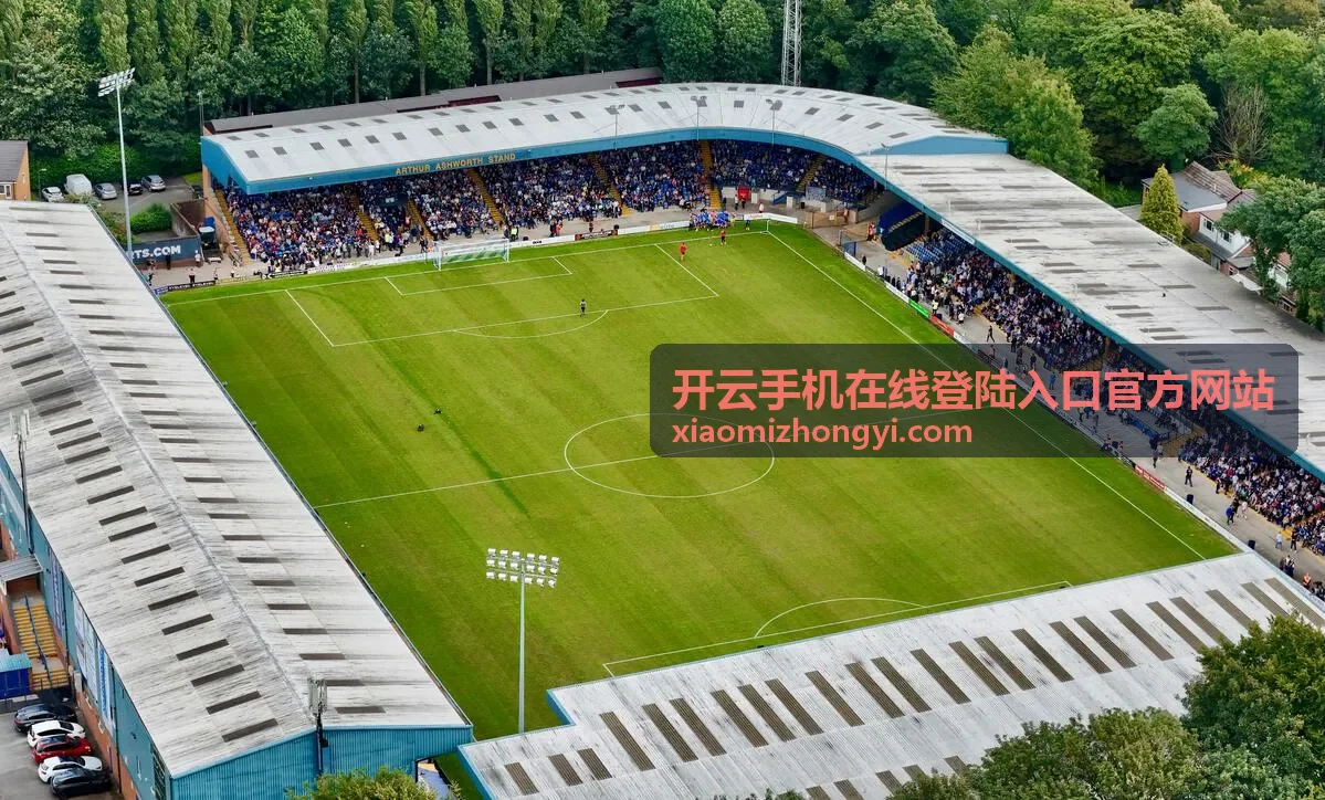 开云手机在线登陆入口官方网站客户端版本与安全状态界面示意